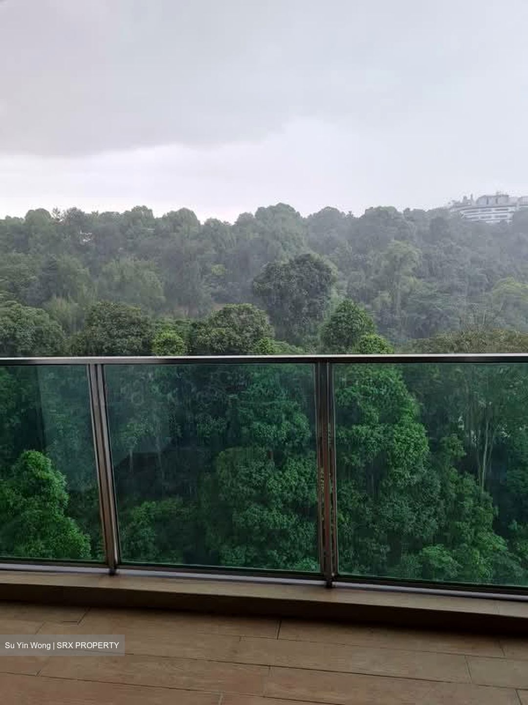 Normanton Park (D5), Apartment #547765891